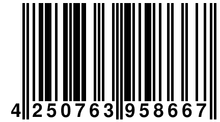 4 250763 958667