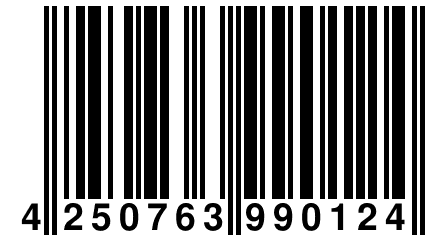 4 250763 990124