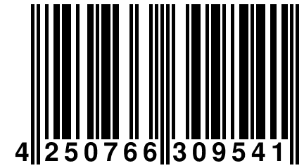 4 250766 309541