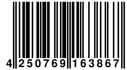 4 250769 163867