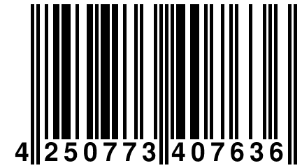 4 250773 407636