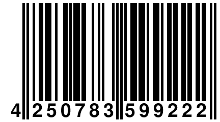 4 250783 599222