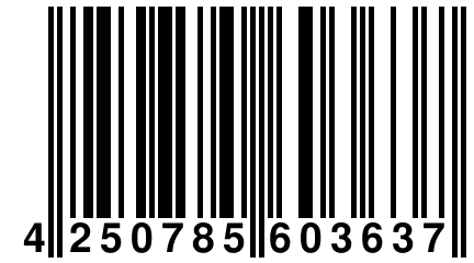 4 250785 603637