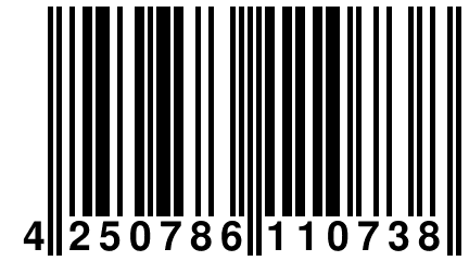 4 250786 110738