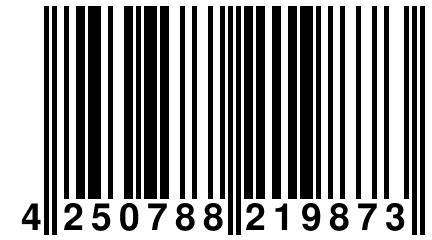 4 250788 219873