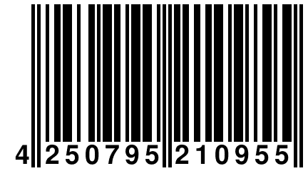 4 250795 210955