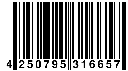 4 250795 316657