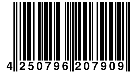 4 250796 207909