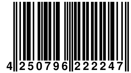 4 250796 222247