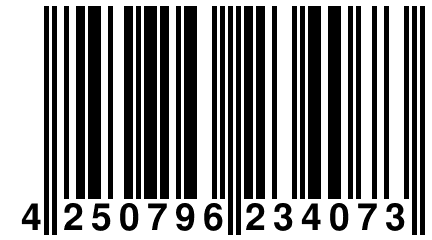 4 250796 234073