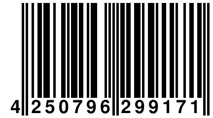 4 250796 299171