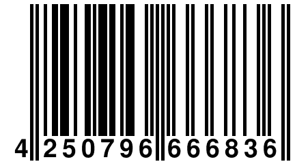 4 250796 666836