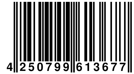 4 250799 613677