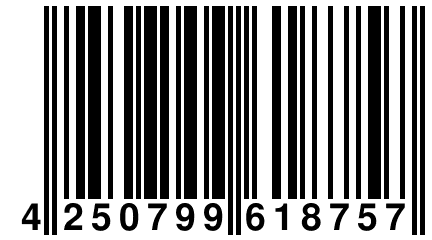 4 250799 618757