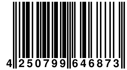 4 250799 646873