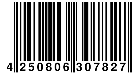 4 250806 307827