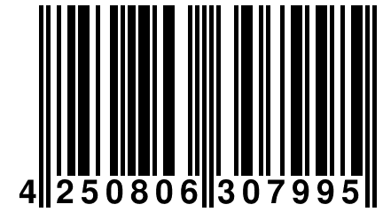 4 250806 307995