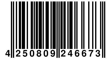 4 250809 246673