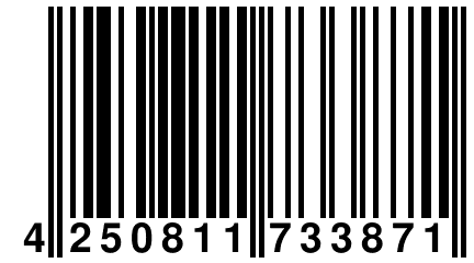 4 250811 733871