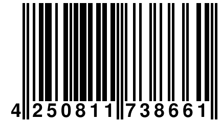 4 250811 738661