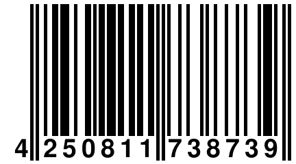 4 250811 738739