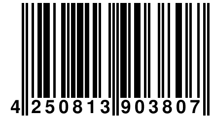 4 250813 903807