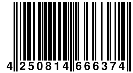 4 250814 666374