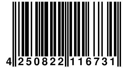 4 250822 116731