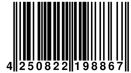 4 250822 198867