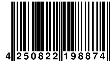 4 250822 198874