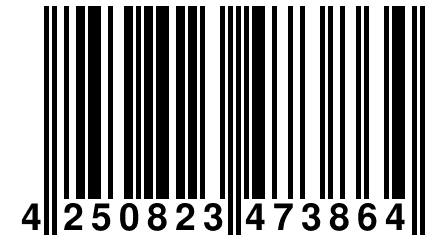 4 250823 473864