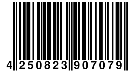 4 250823 907079