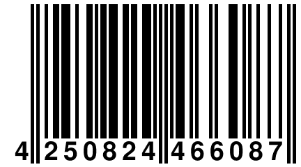 4 250824 466087