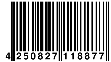 4 250827 118877