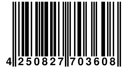 4 250827 703608