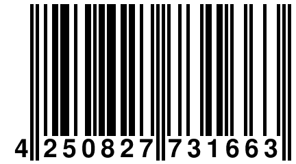 4 250827 731663