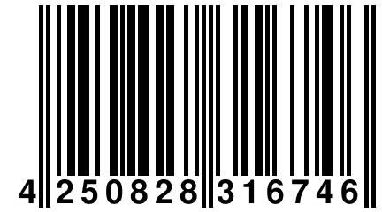 4 250828 316746