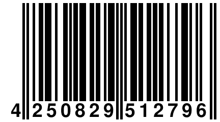 4 250829 512796