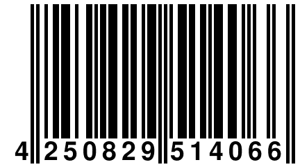 4 250829 514066