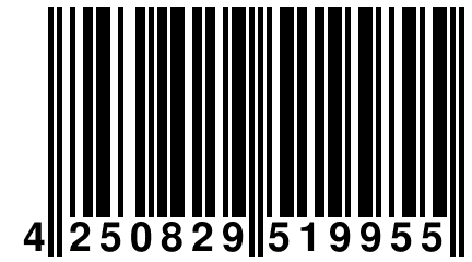 4 250829 519955