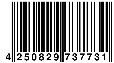 4 250829 737731