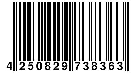 4 250829 738363