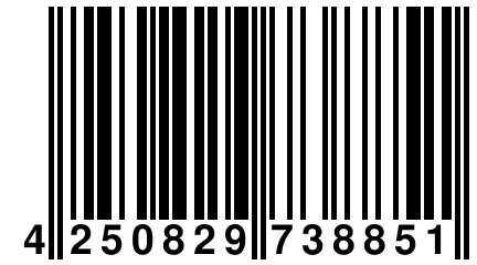 4 250829 738851