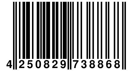 4 250829 738868