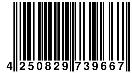 4 250829 739667