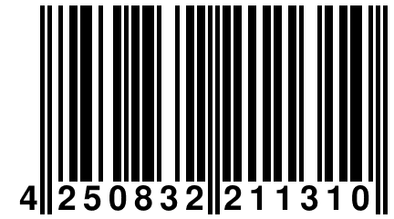 4 250832 211310