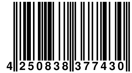 4 250838 377430