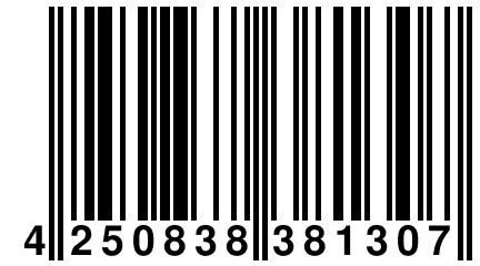 4 250838 381307