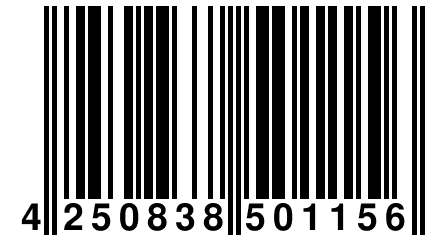 4 250838 501156