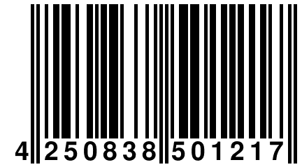 4 250838 501217